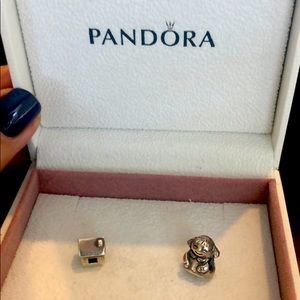pandora sterling silver charms